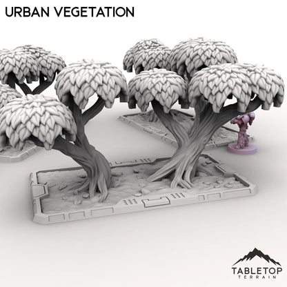 Urban Vegetation