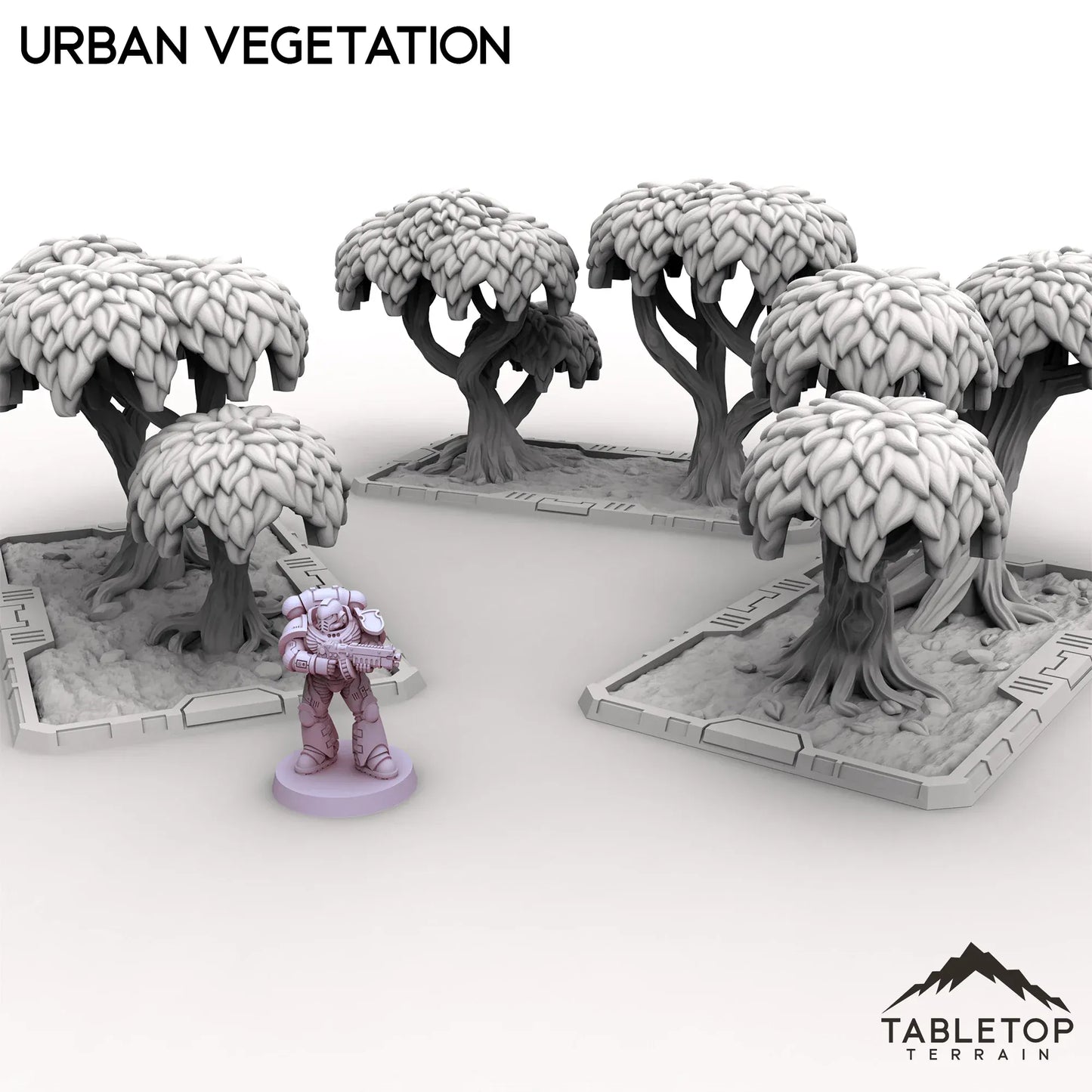 Urban Vegetation