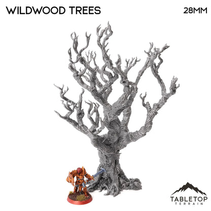 Wildwood Trees - The Gloaming Swamp