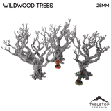 Wildwood Trees - The Gloaming Swamp