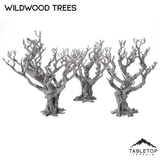 Wildwood Trees - The Gloaming Swamp