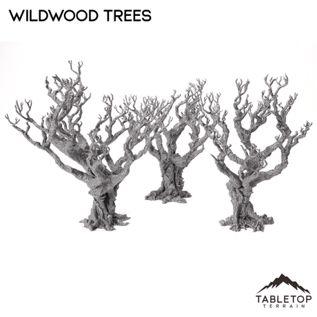 Wildwood Trees - The Gloaming Swamp