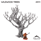 Wildwood Trees - The Gloaming Swamp