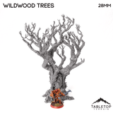 Wildwood Trees - The Gloaming Swamp