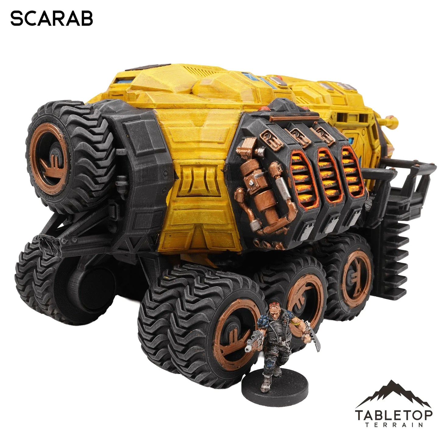 Scarab
