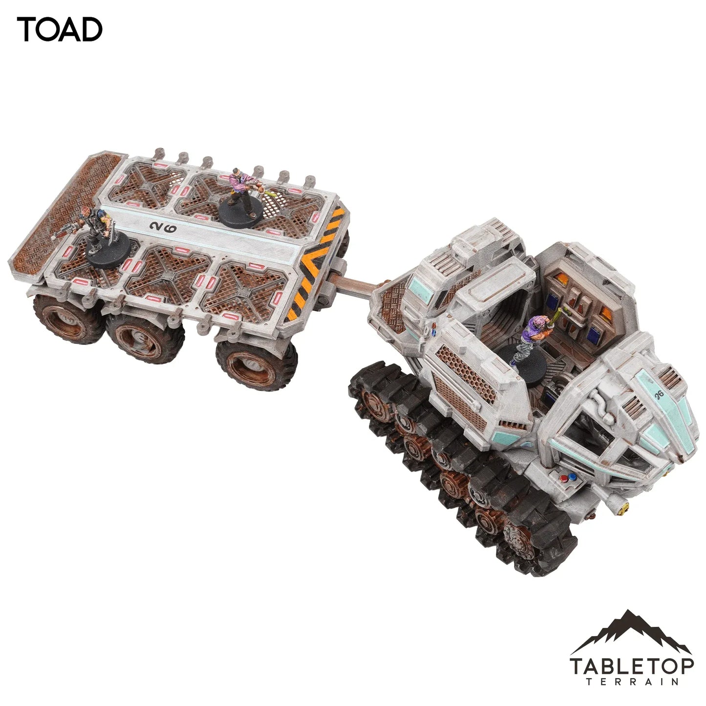 Toad