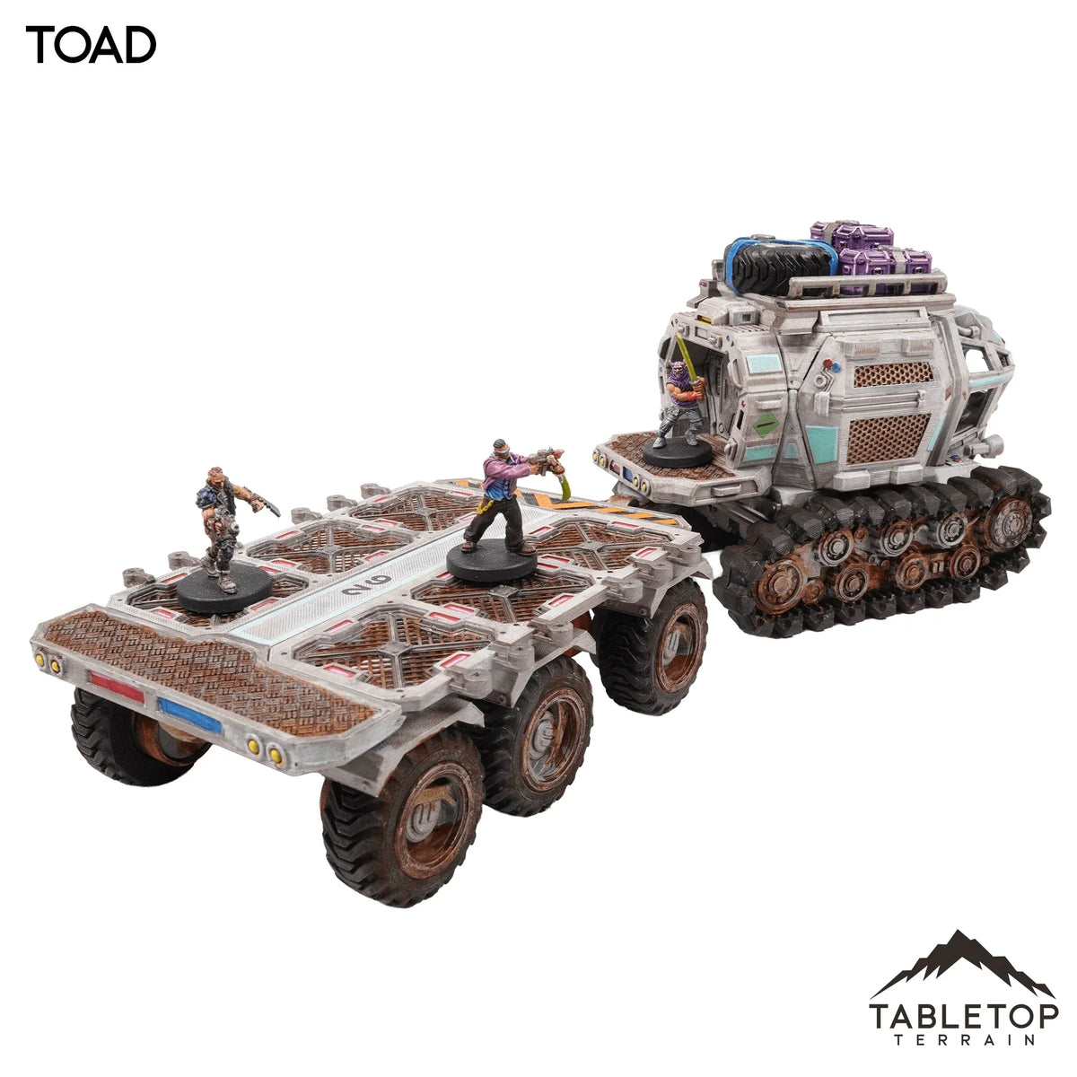 Toad