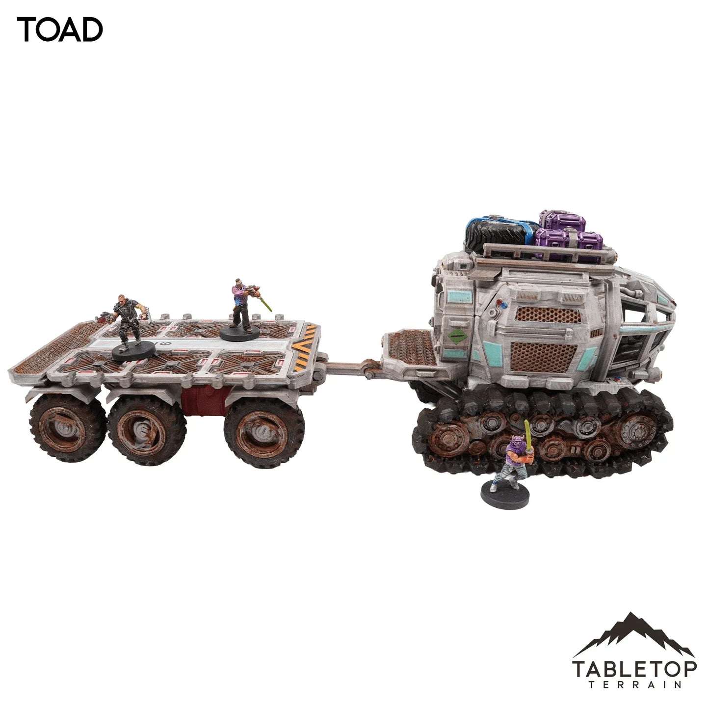Toad