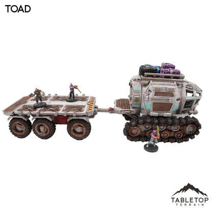 Toad