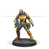 Zhanshi (Troops of the Banner) [OOP]