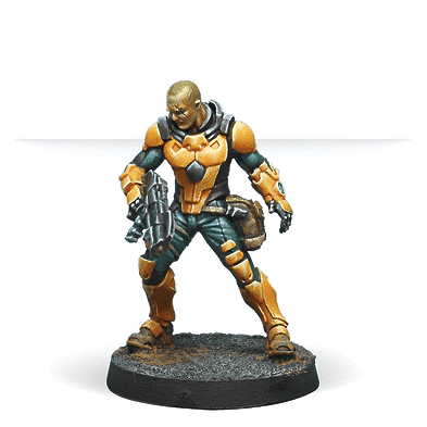 Zhanshi (Troops of the Banner) [OOP]